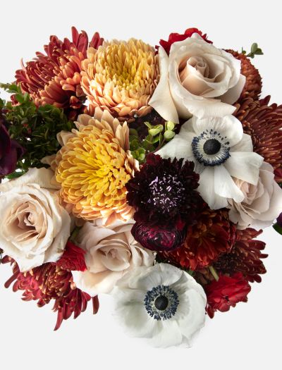 The Autumnal Palette